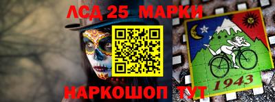 индика Бердск