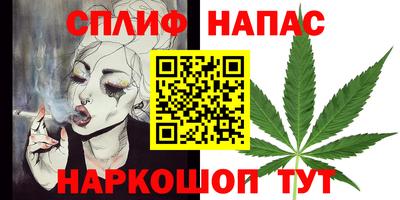 индика Бердск