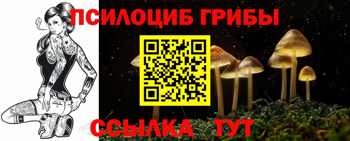 где продают наркотики  Галлюциногенные грибы мицелий  Вход с VPN  Алейск 